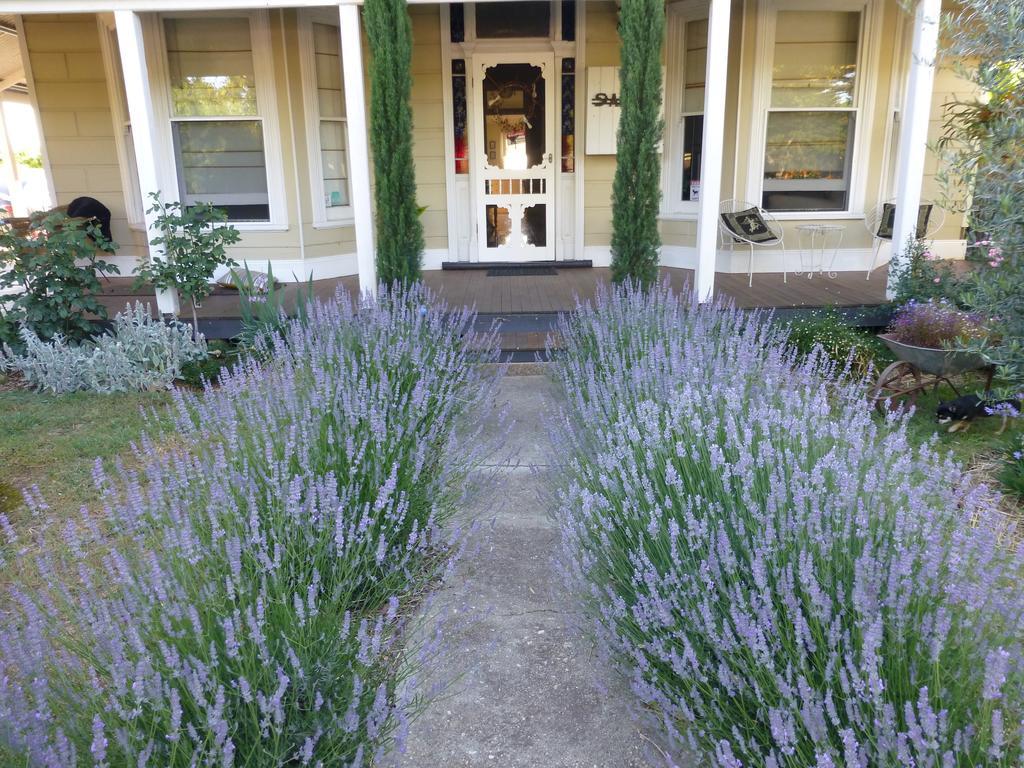 La Maison St Arnaud Rutherglen Exterior photo